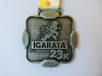 139 Igaratá (Large)