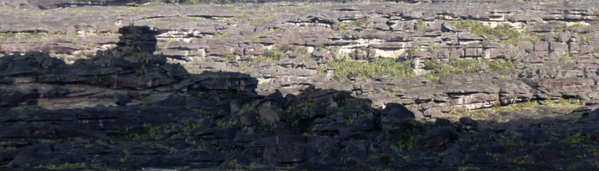 Monte Roraima - Venezuela