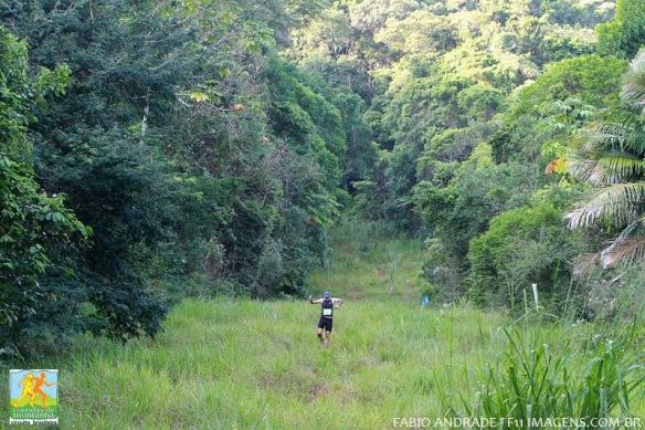 945019_517505648287420_1617679749_n