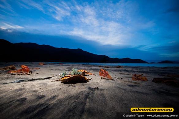 image_view_compCARKBZUA8