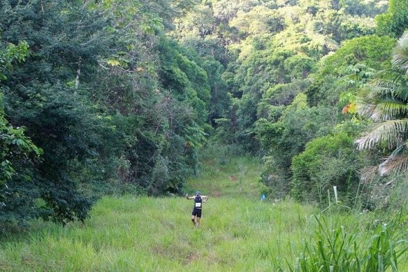 945019_517505648287420_1617679749_n (2)