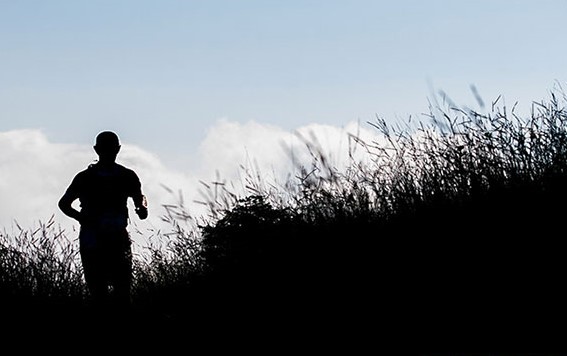 CM_Mairipora_2014-00294 (2)