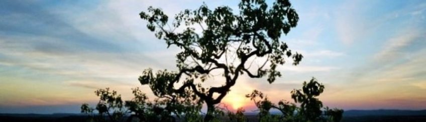 Por do Sol - Parque Nacional da Serra da Canastra