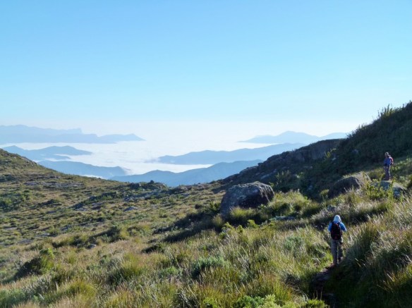 P1110997 (Large) (2)