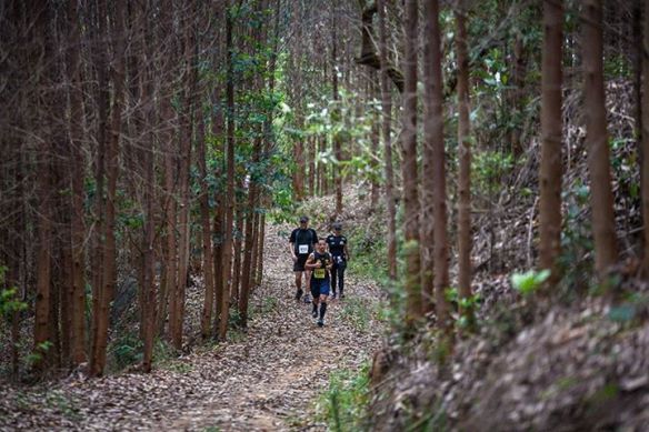 12208719_728845483927118_1256982107015178309_n