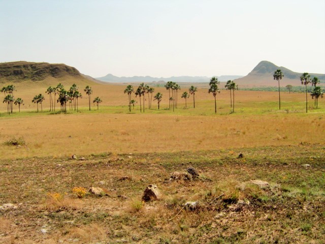 Jardim de Maytrea - sequência III (90)