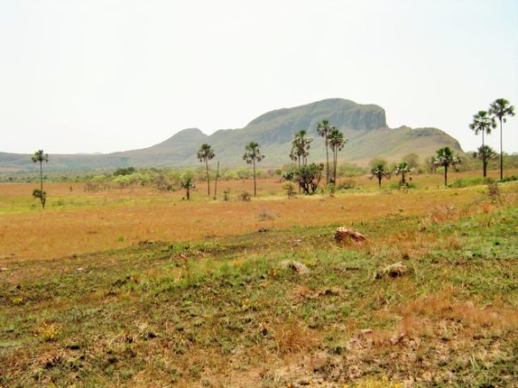 Jardim de Maytrea - sequência V (92)