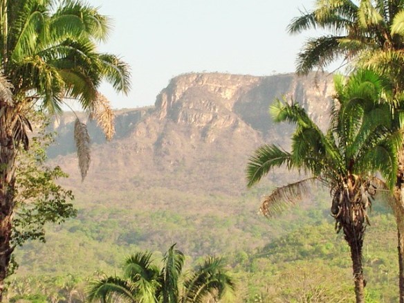 Solarium - na Estrada de terra retornando para APG (53)