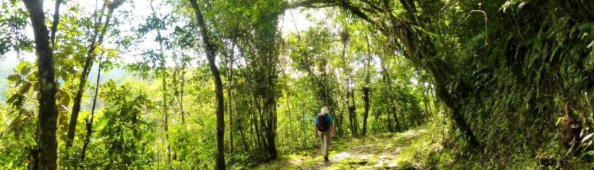 Trilha do Ouro - Parque Nacional da Serra da Bocaina