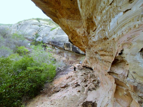 Adamu Trekking p1180524-large