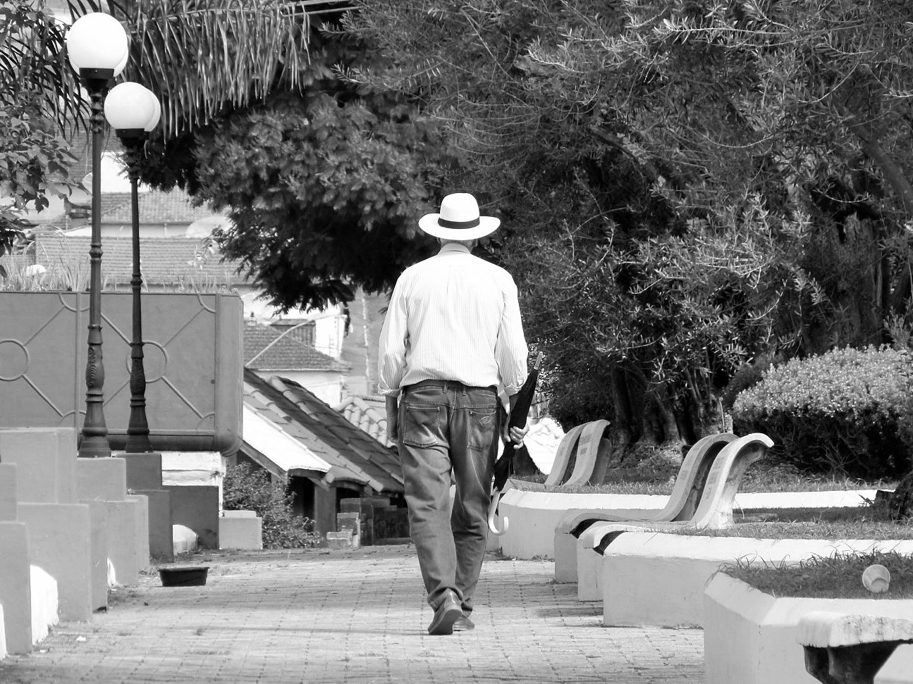 Adamu Trekking P1240377 (Large)