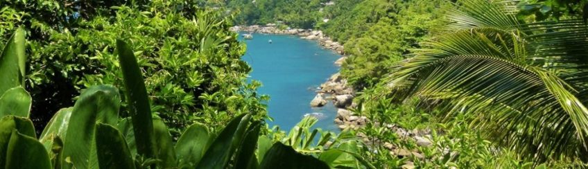 Trilha Sumaca-Ponta da Joatinga